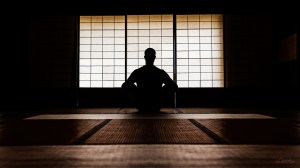 31694100022_16050296c0_o