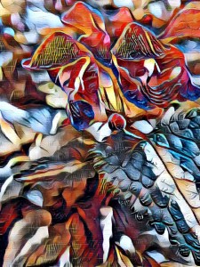 32949078944_1306c3e7bb_o